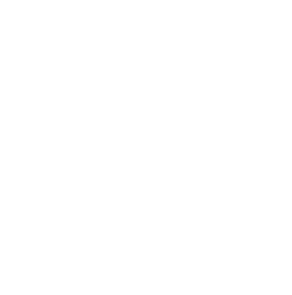 The Ruth Institute Logo - a stylized crown with a cross in the middle