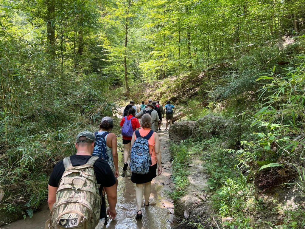 group of men and women hiking a path through lush woods